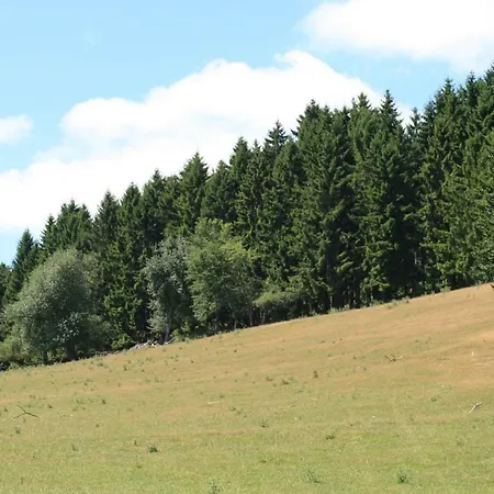 Eifelcottage Family 9 * Ulmen