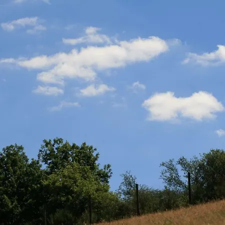 Eifelcottage Family 9 بيت للعطل