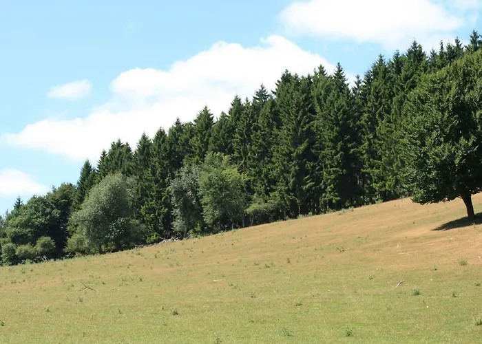 Eifelcottage Family 9 * Ulmen