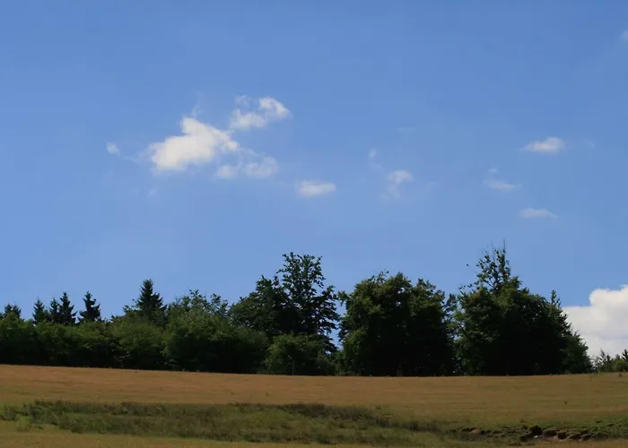 Prázdninový dům Eifelcottage Family 9